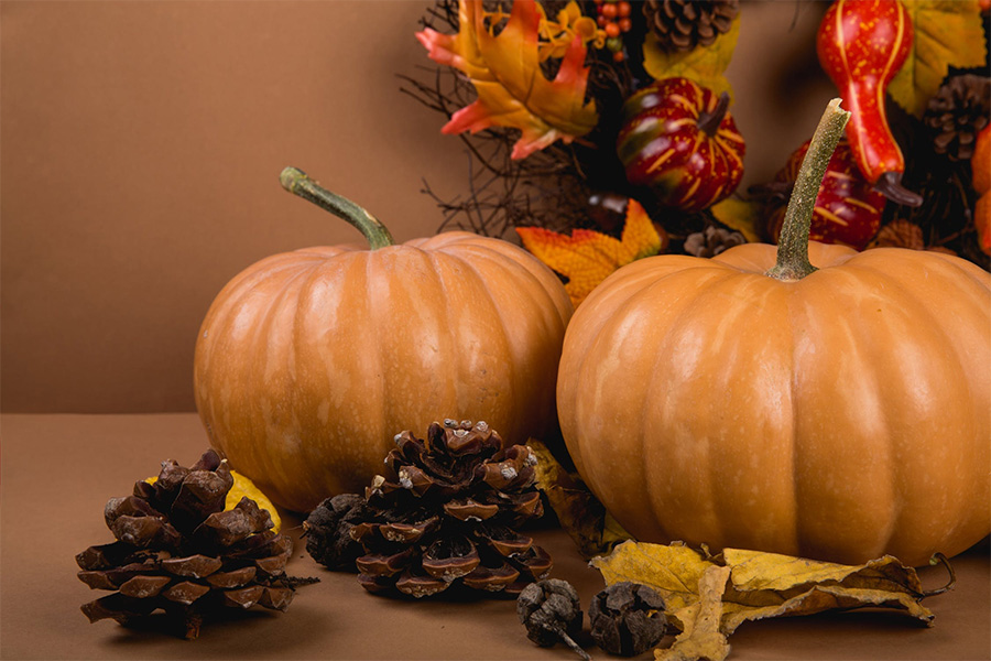 Pumpkins and fall leaves